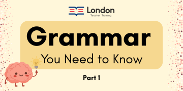 Grammar You Need to Know: Part 1