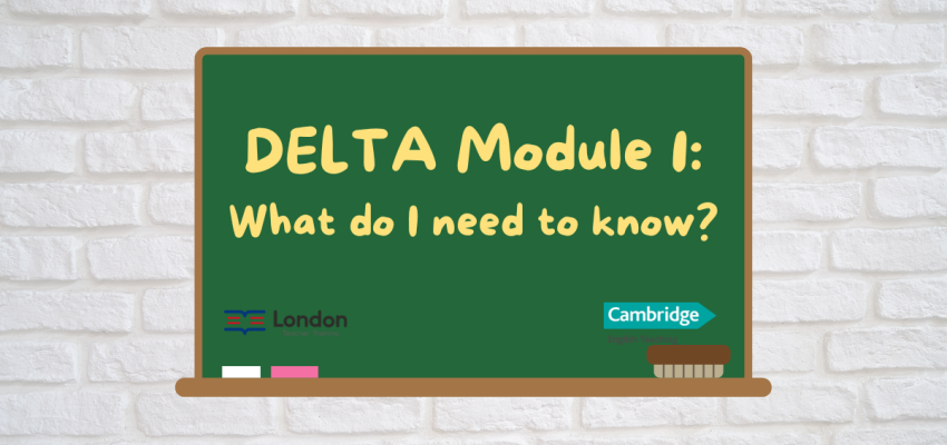 DELTA Module One: What do I need to know?
