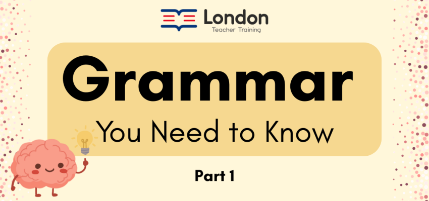 Grammar You Need to Know: Part 1